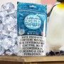 Pack Iced Menthol + NikoVaps 30ML - Oil4vap Sales